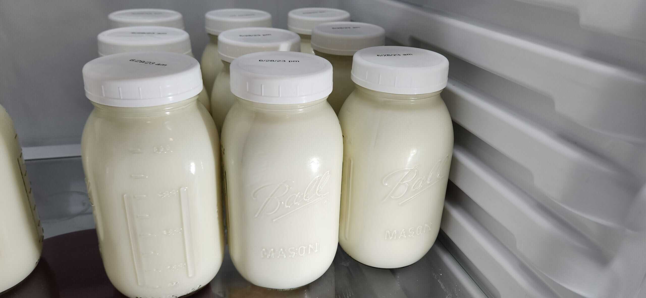 Fresh Raw Goat Milk in jars in the fridge