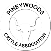 Pineywoods Cattle Association Logo